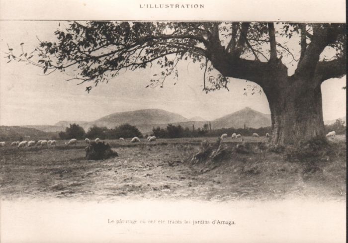 Le plateau découvert par Edmond Rostand